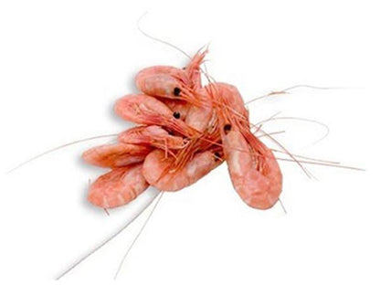 Premium Royal Greenland reker 50/70, 5kg, Produktnummer: 72002