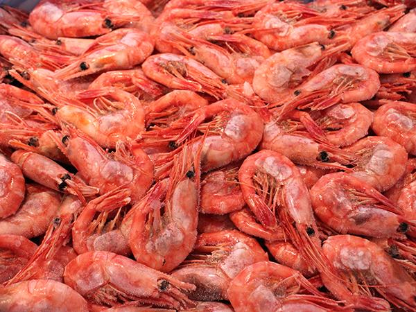 Premium Royal Greenland reker 50/70, 5kg, Produktnummer: 72002