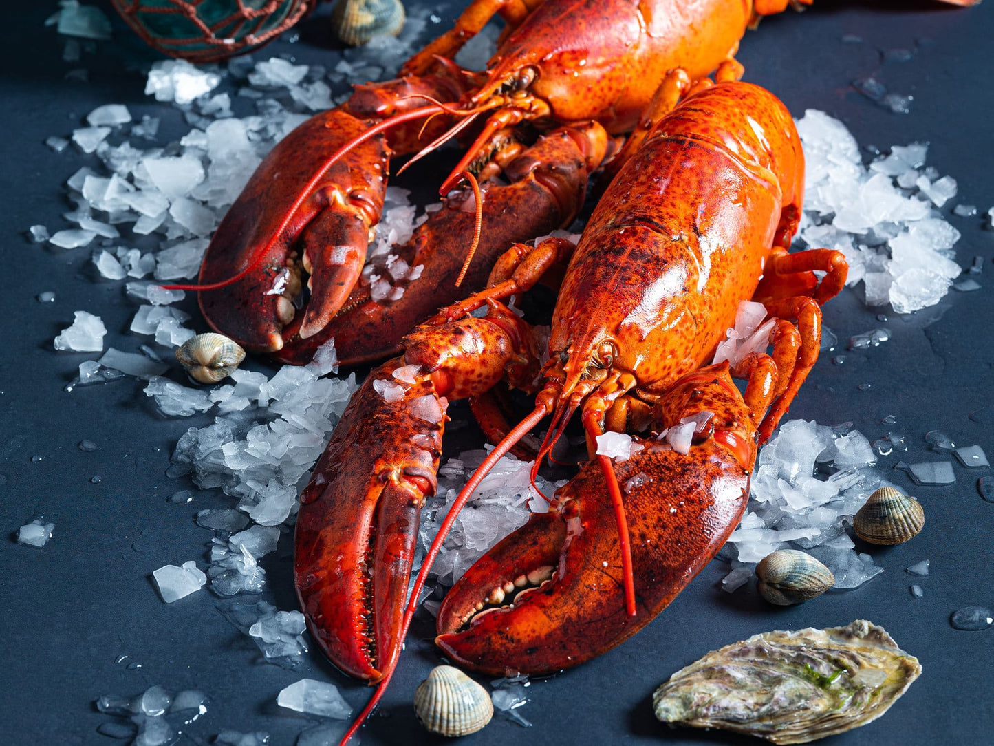 Premium Hummer 300g, frys i lake, Produktnummer: 71890